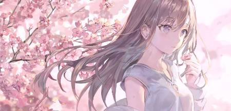 热播5