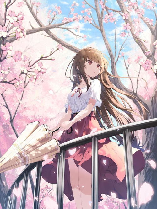 热播8